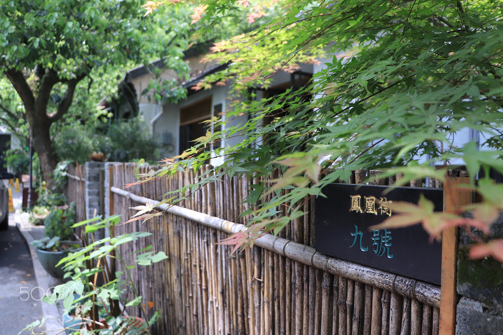 Canon EOS 77D (EOS 9000D / EOS 770D) sample photo. 花园小径garden path photography