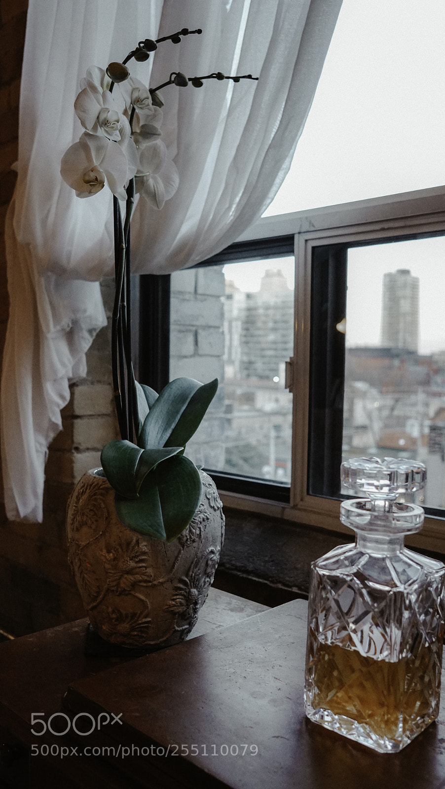 Sony a6300 sample photo. I have a good photography