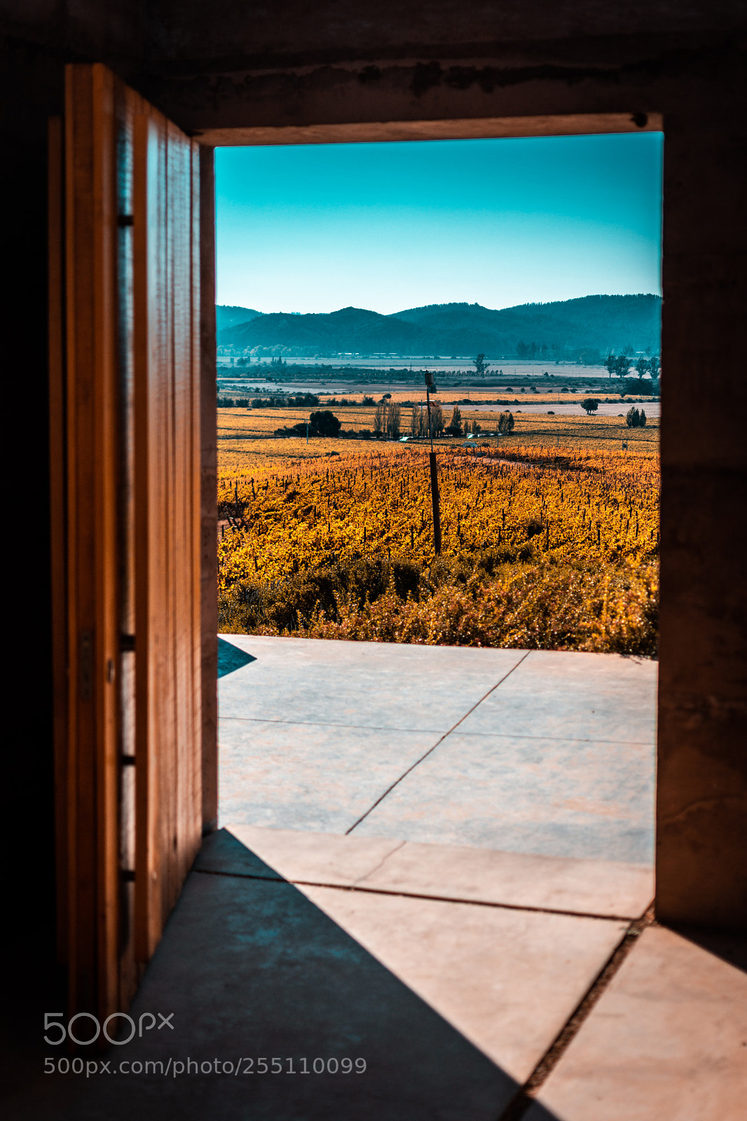 Nikon D7200 sample photo. Puerta que vuelo! photography