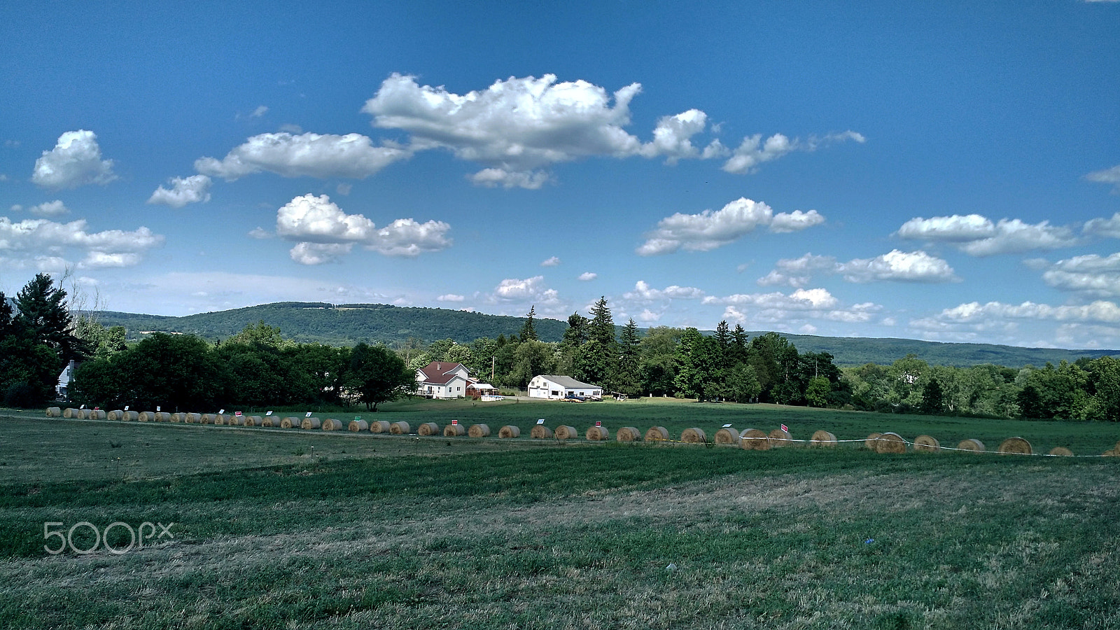 Motorola Moto X (2nd Gen) sample photo. After the first cutting photography