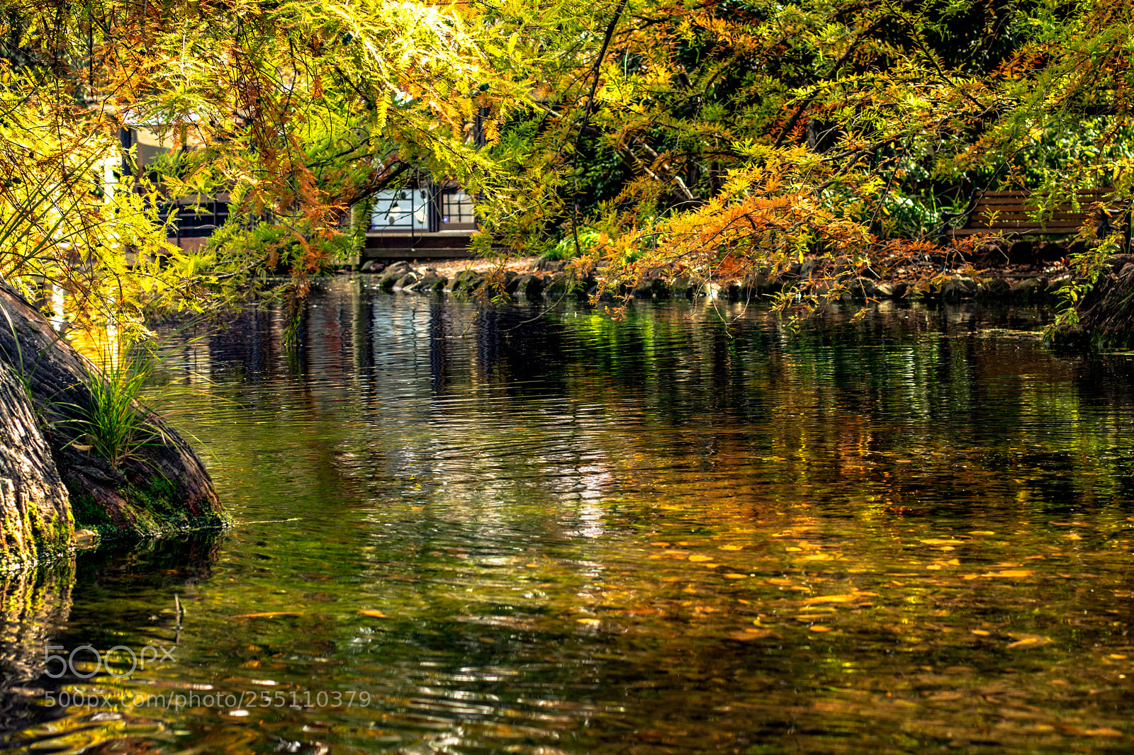 Canon EOS 80D sample photo. Reflection in autumn waters photography