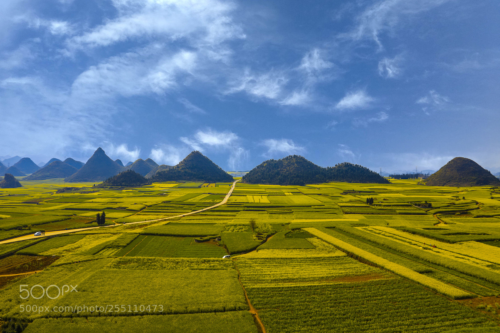 Canon EOS 5D Mark IV sample photo. China yunnan luoping jinjifengcong photography