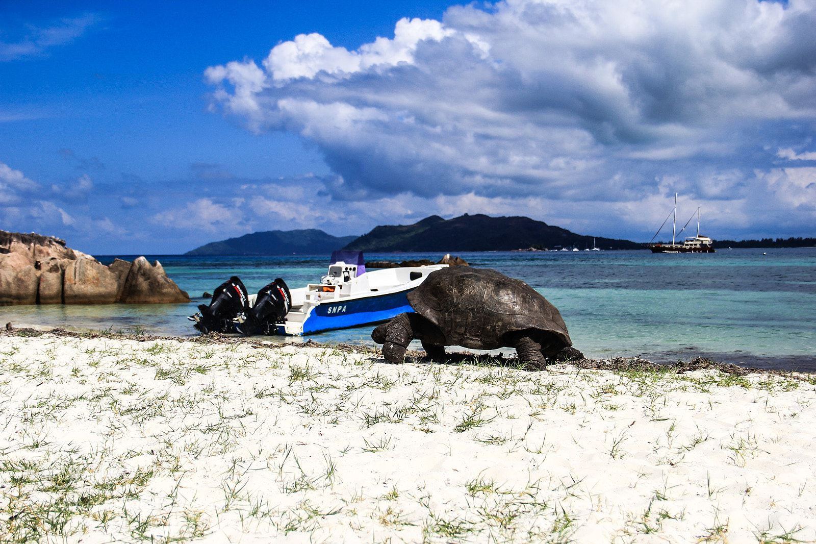 Canon EOS 60D sample photo. Seychelles curieuse aldabra elephant photography