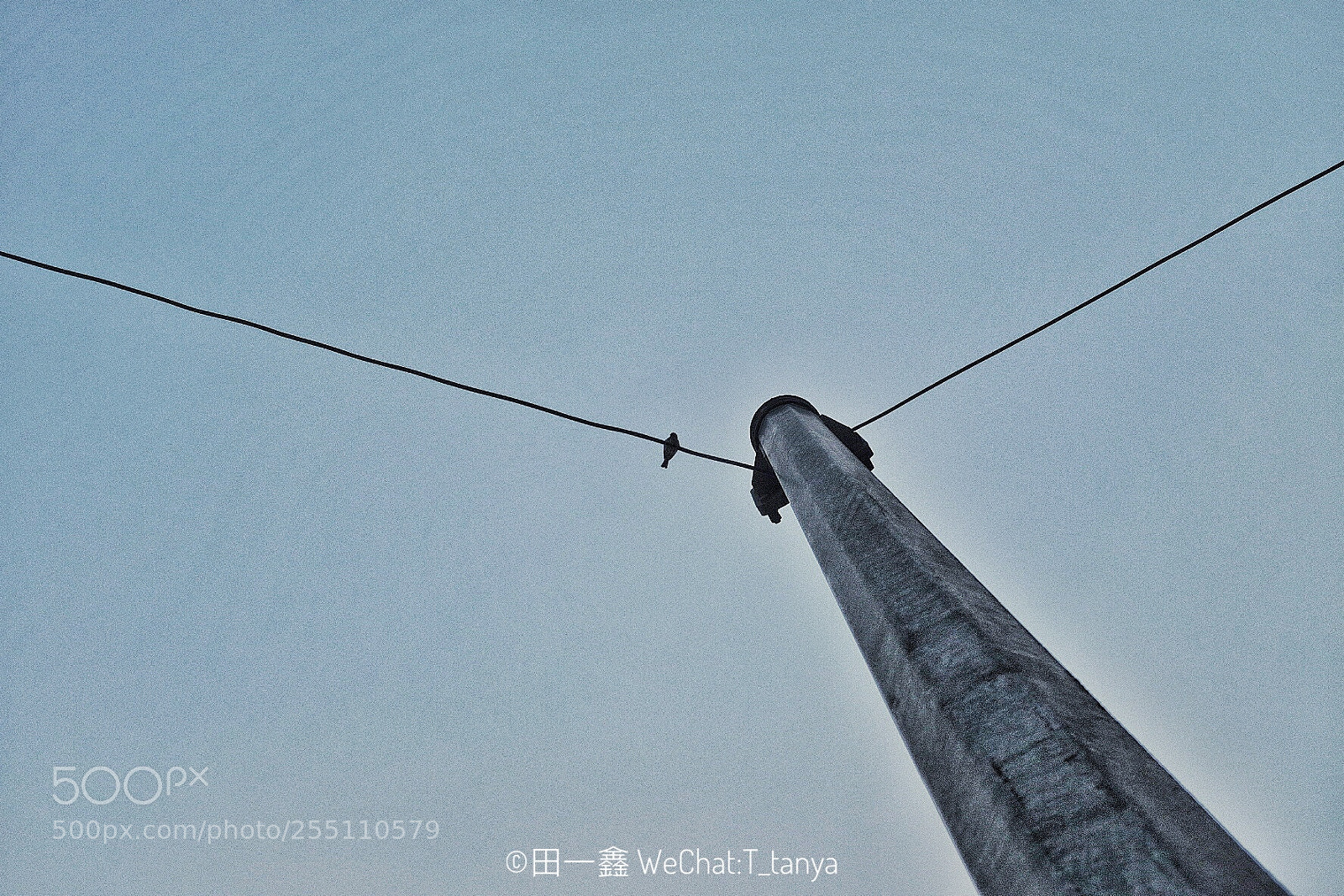 Fujifilm X100F sample photo. Untitled photography