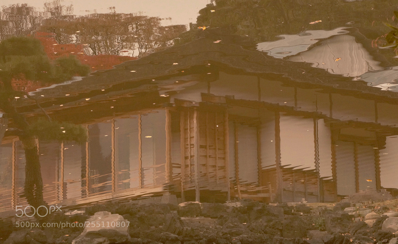 Sony Alpha NEX-6 sample photo. Acuarela digital 3 photography