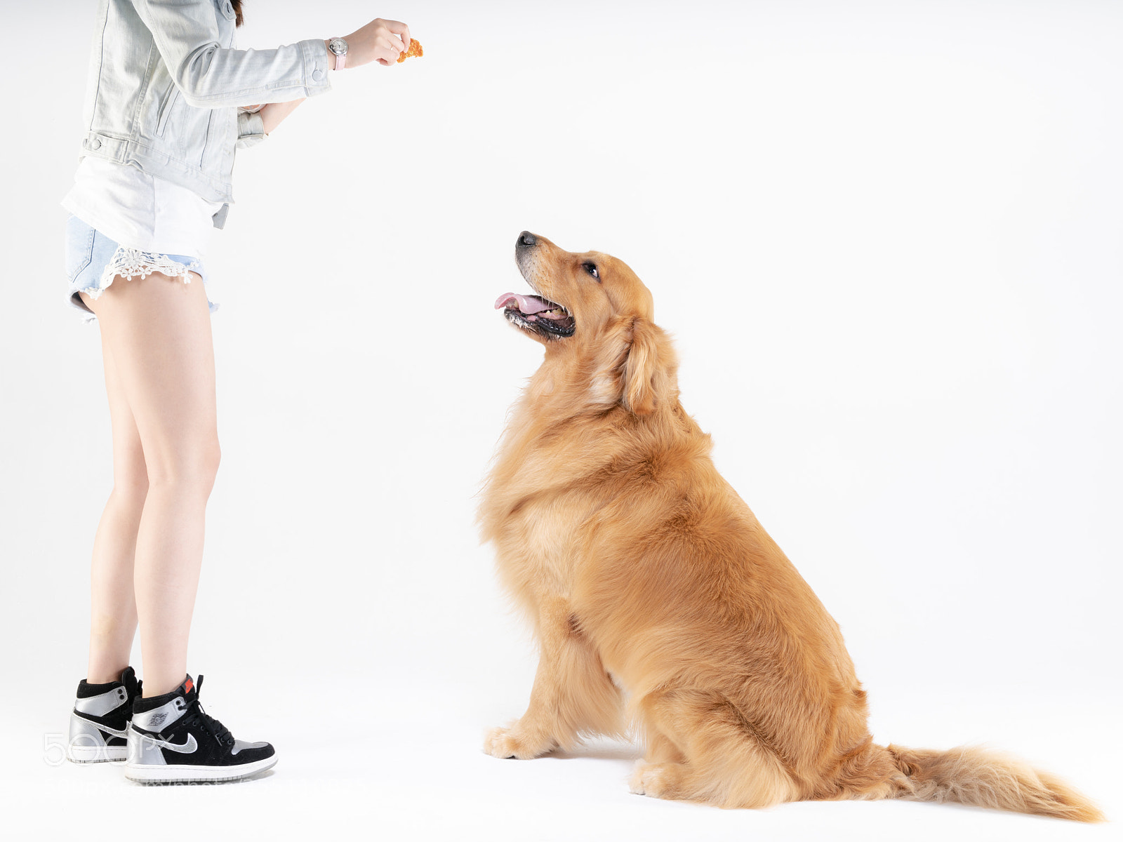 Sony a99 II sample photo. Pet photography