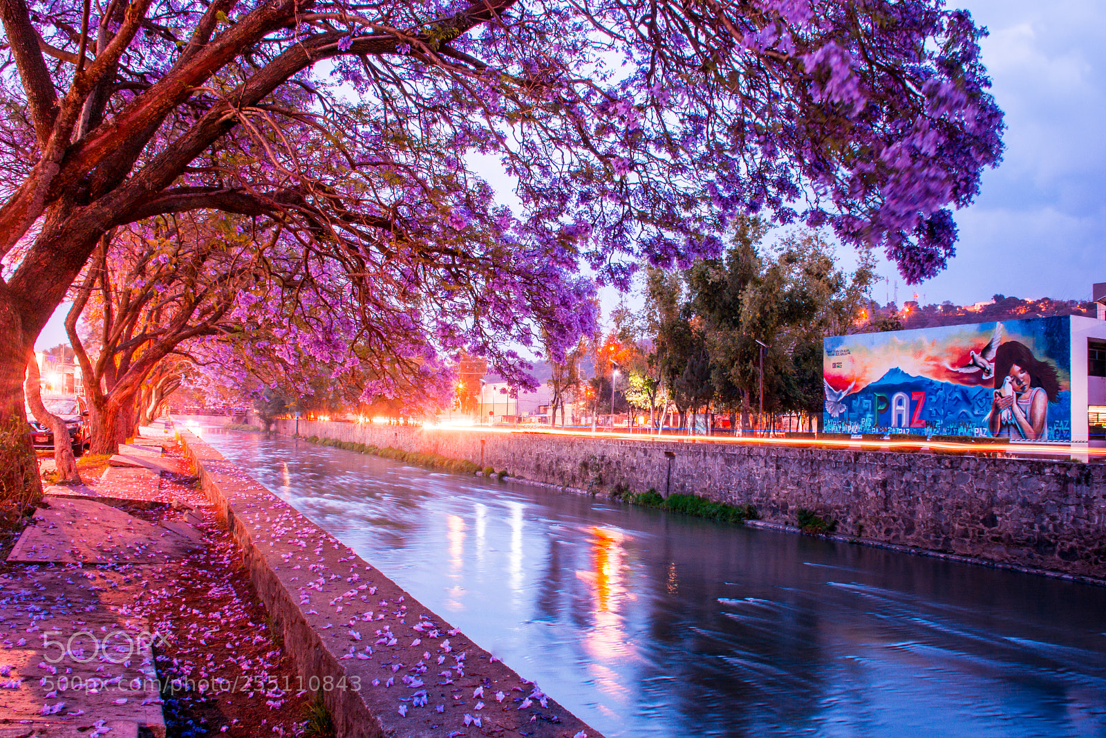 Nikon D7100 sample photo. Tiempo de jacarandas photography
