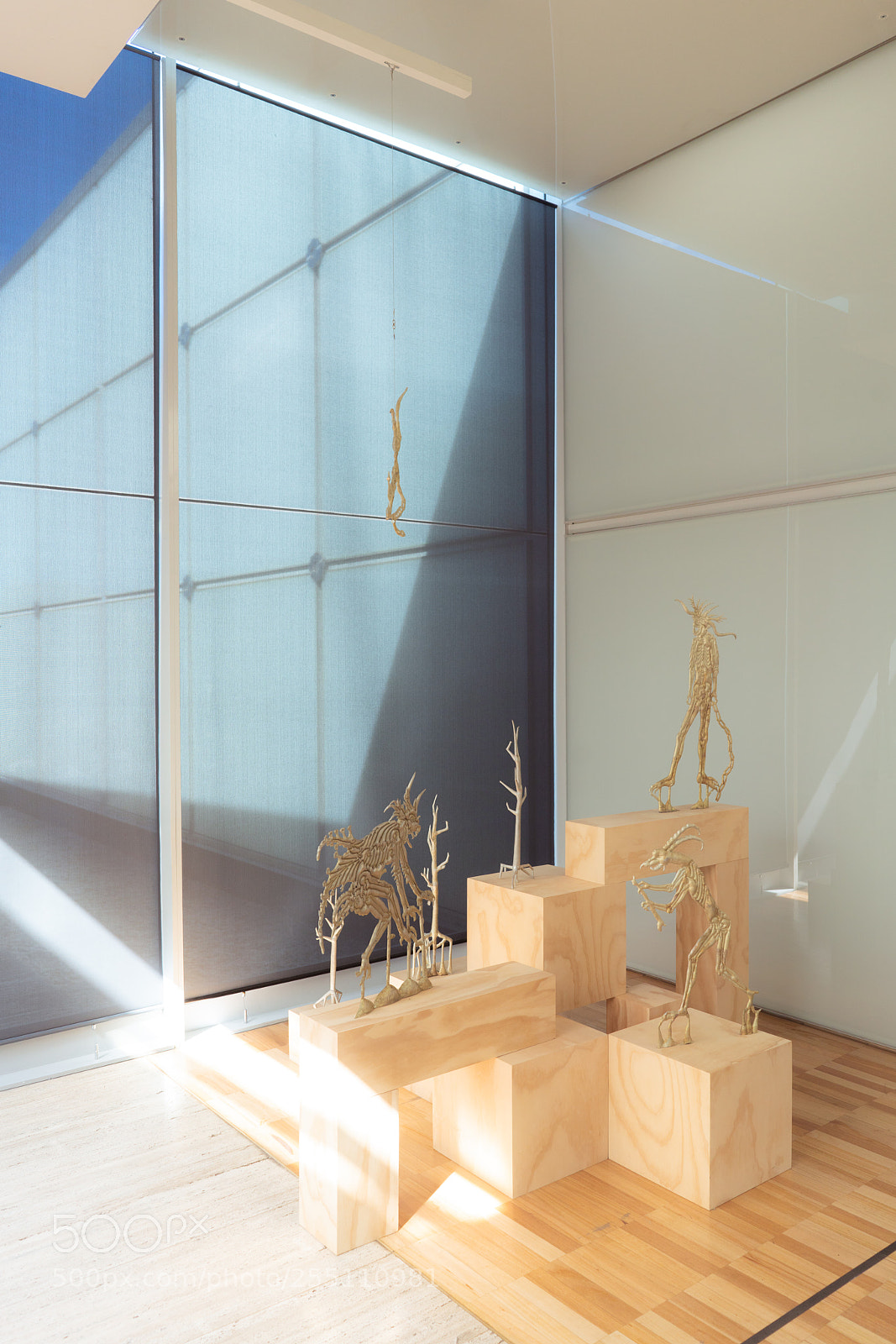 Sony a7R II sample photo. Agnsw photography