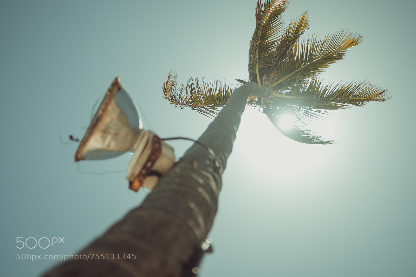 Sony a7R II sample photo. Punta cana photography