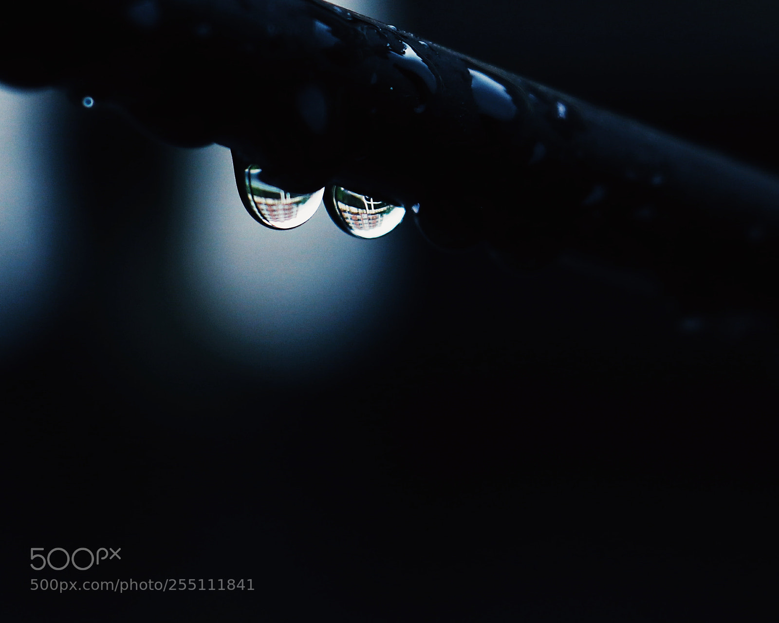 Canon EOS 80D sample photo. Rain photography
