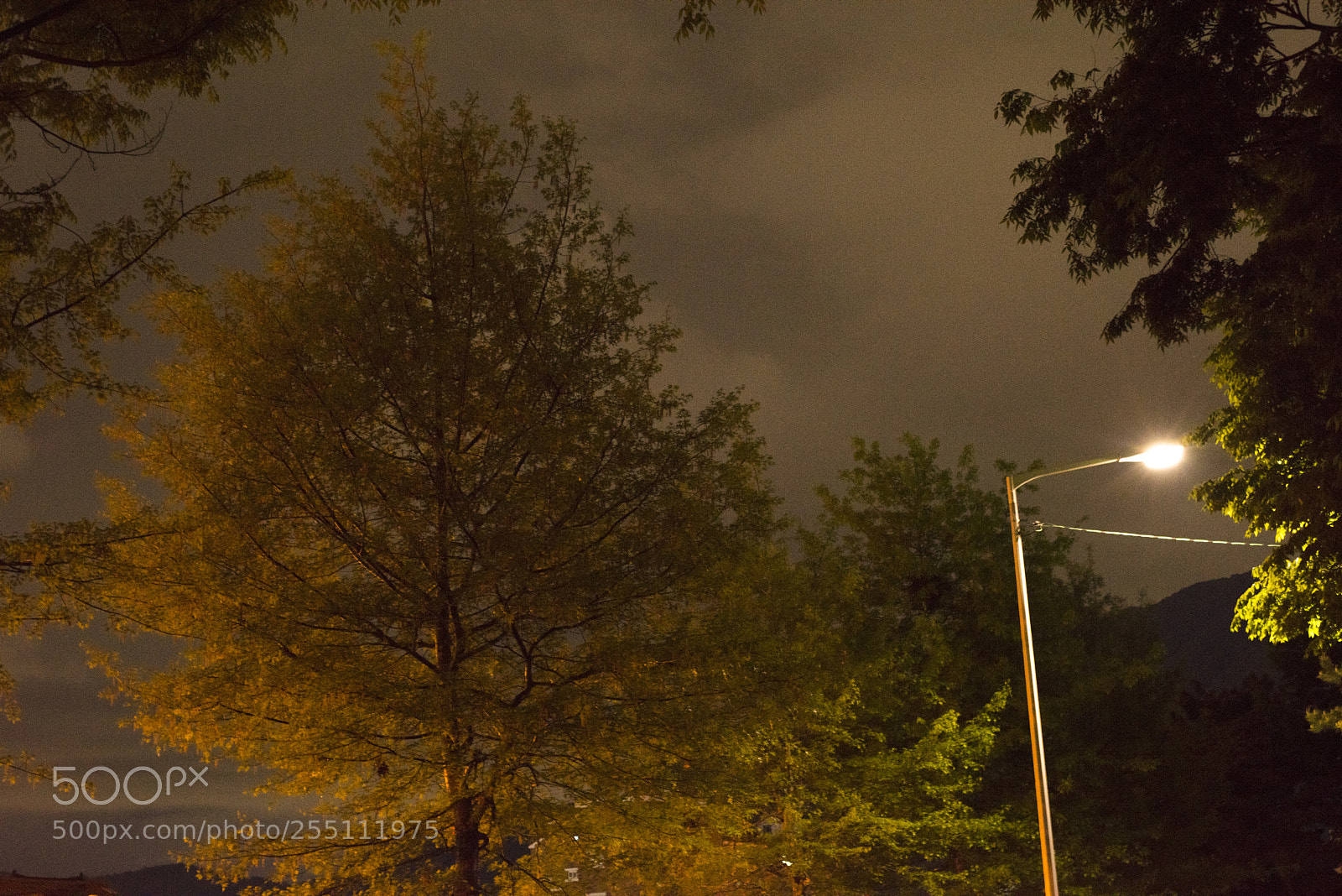 Nikon D810 sample photo. In a town  no.11 photography