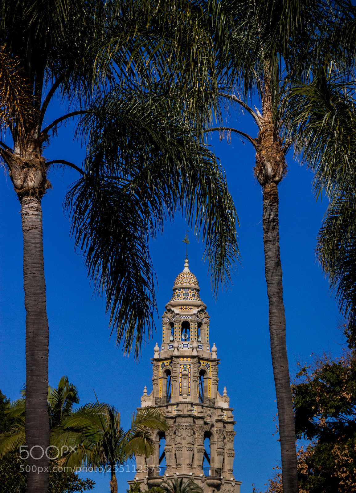 Canon EOS 70D sample photo. The bell tower palms photography