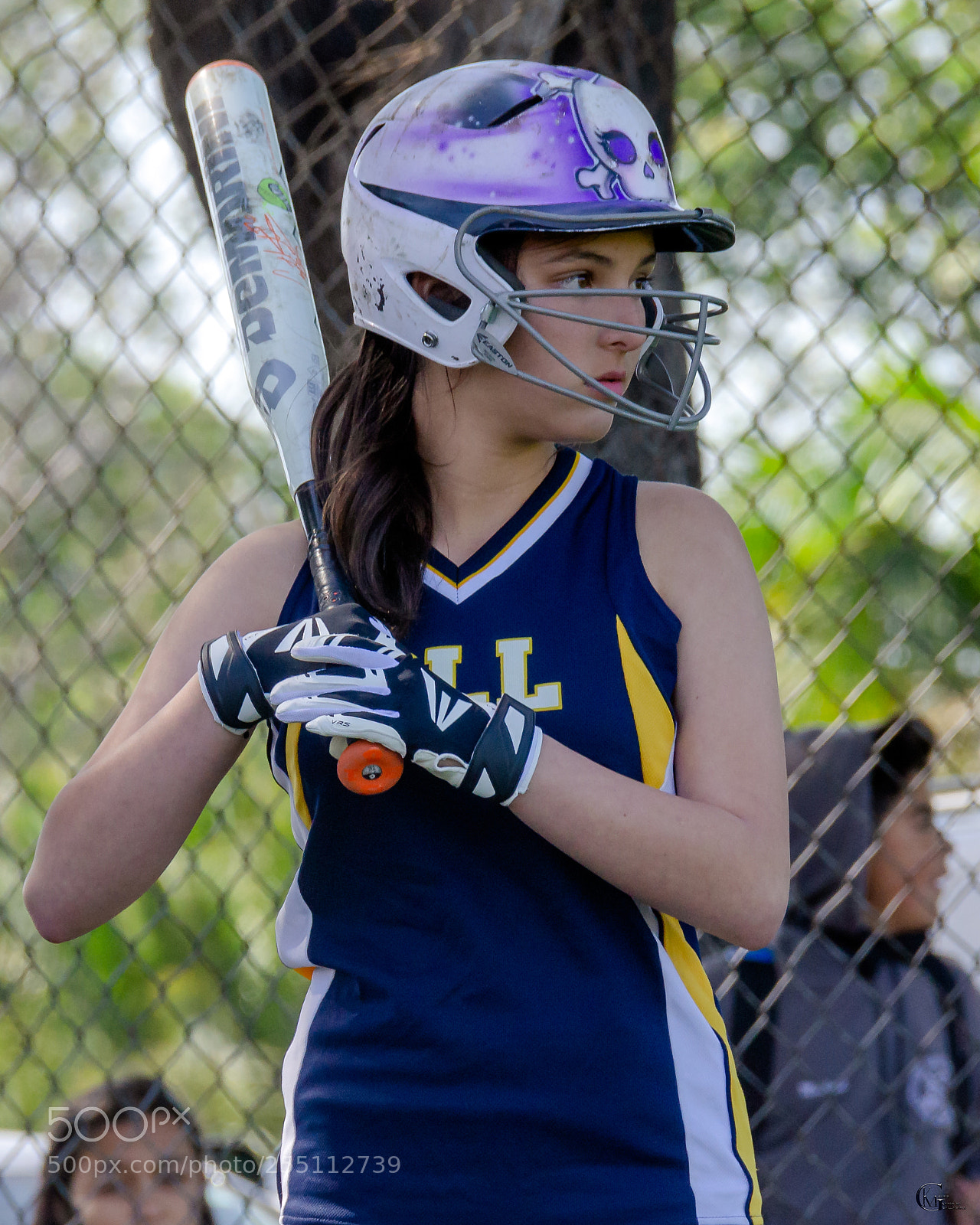 Nikon D7000 sample photo. At bat photography