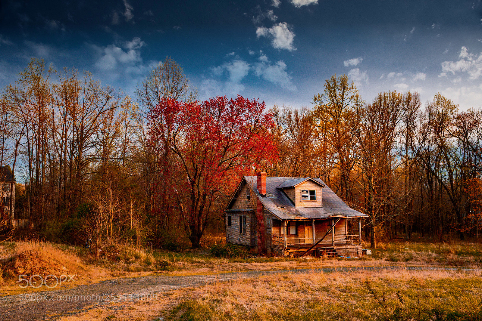 Sony a7R III sample photo. Deserted home photography