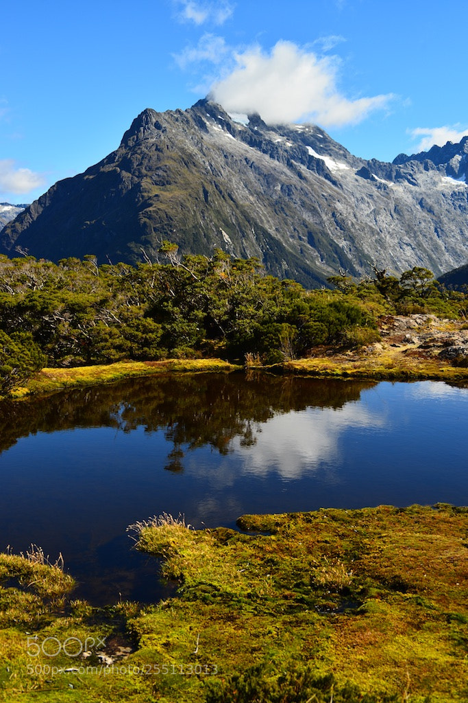 Nikon D600 sample photo. Routeburn track photography