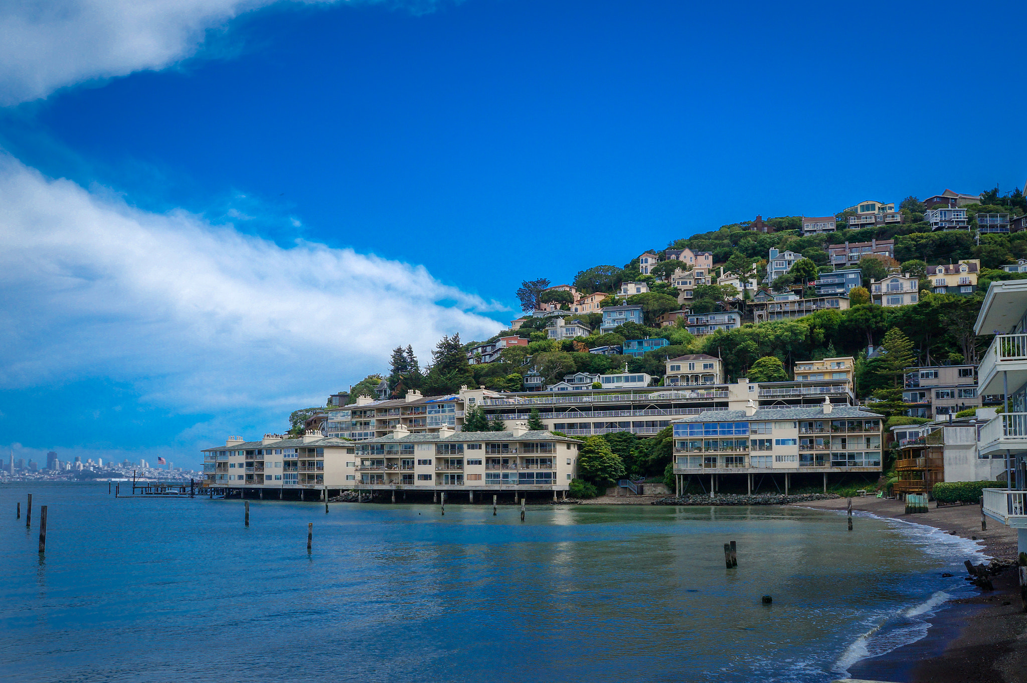 Sony Alpha NEX-F3 sample photo. Sausalito california photography