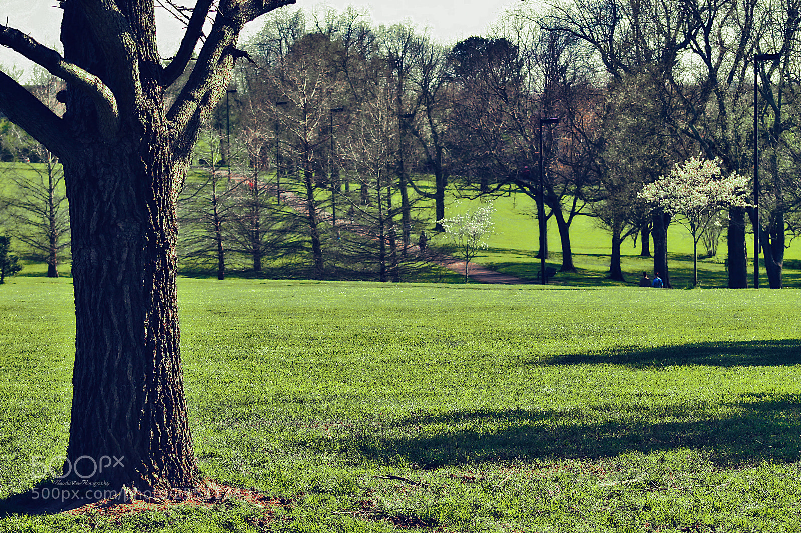 Canon EOS 1100D (EOS Rebel T3 / EOS Kiss X50) sample photo. A moment @ kirklivington photography