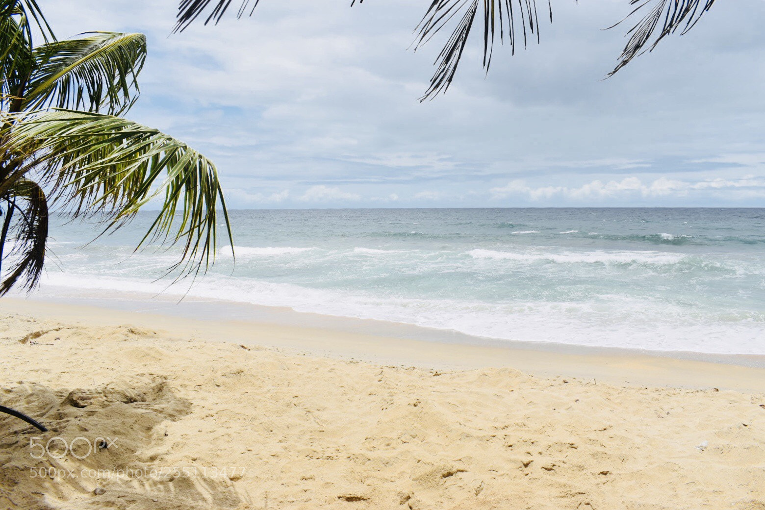 Nikon D5600 sample photo. By the beach photography