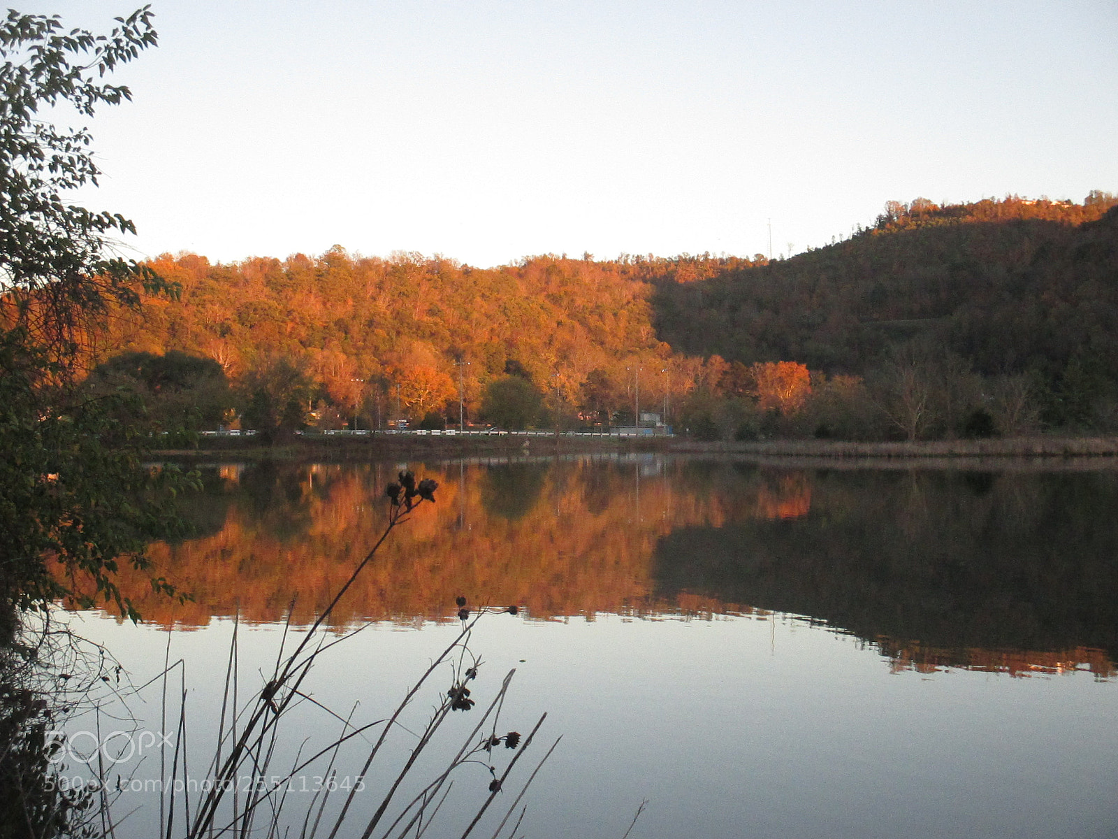 Canon PowerShot ELPH 135 (IXUS 145 / IXY 120) sample photo. Img photography