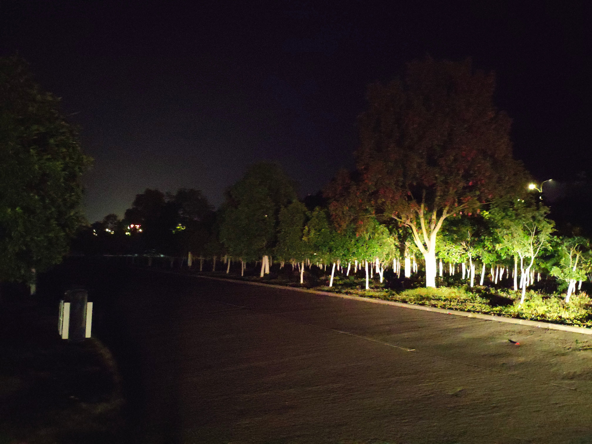 Xiaomi MIX 2S sample photo. 漂泊的是自己 photography