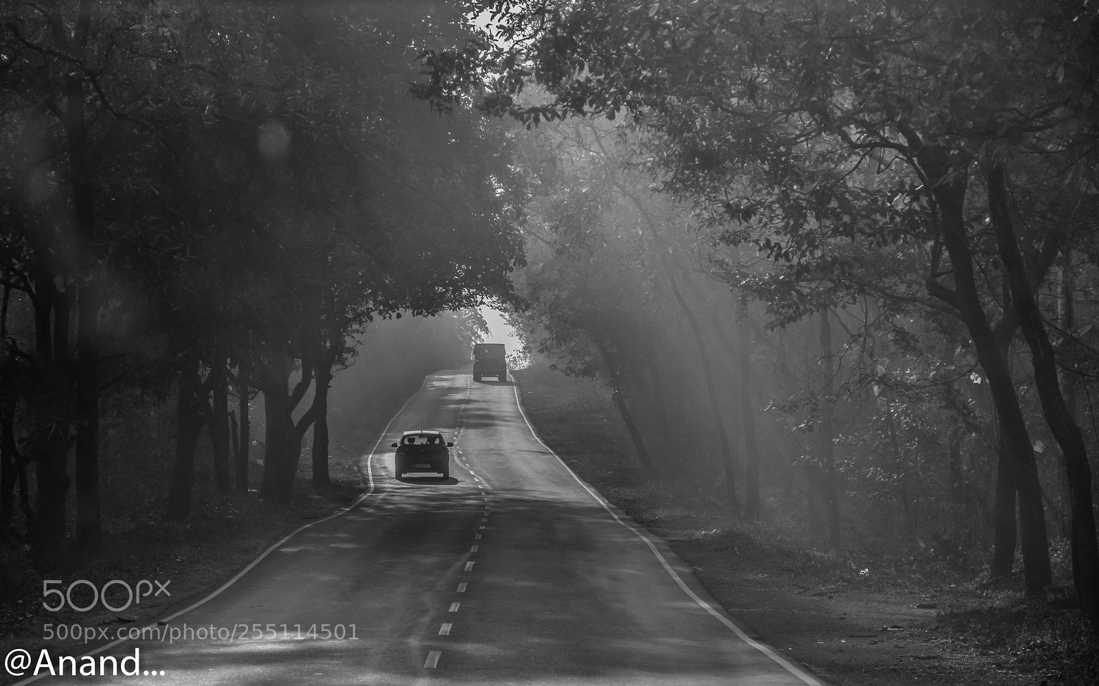 Nikon D5200 sample photo. Untitled photography