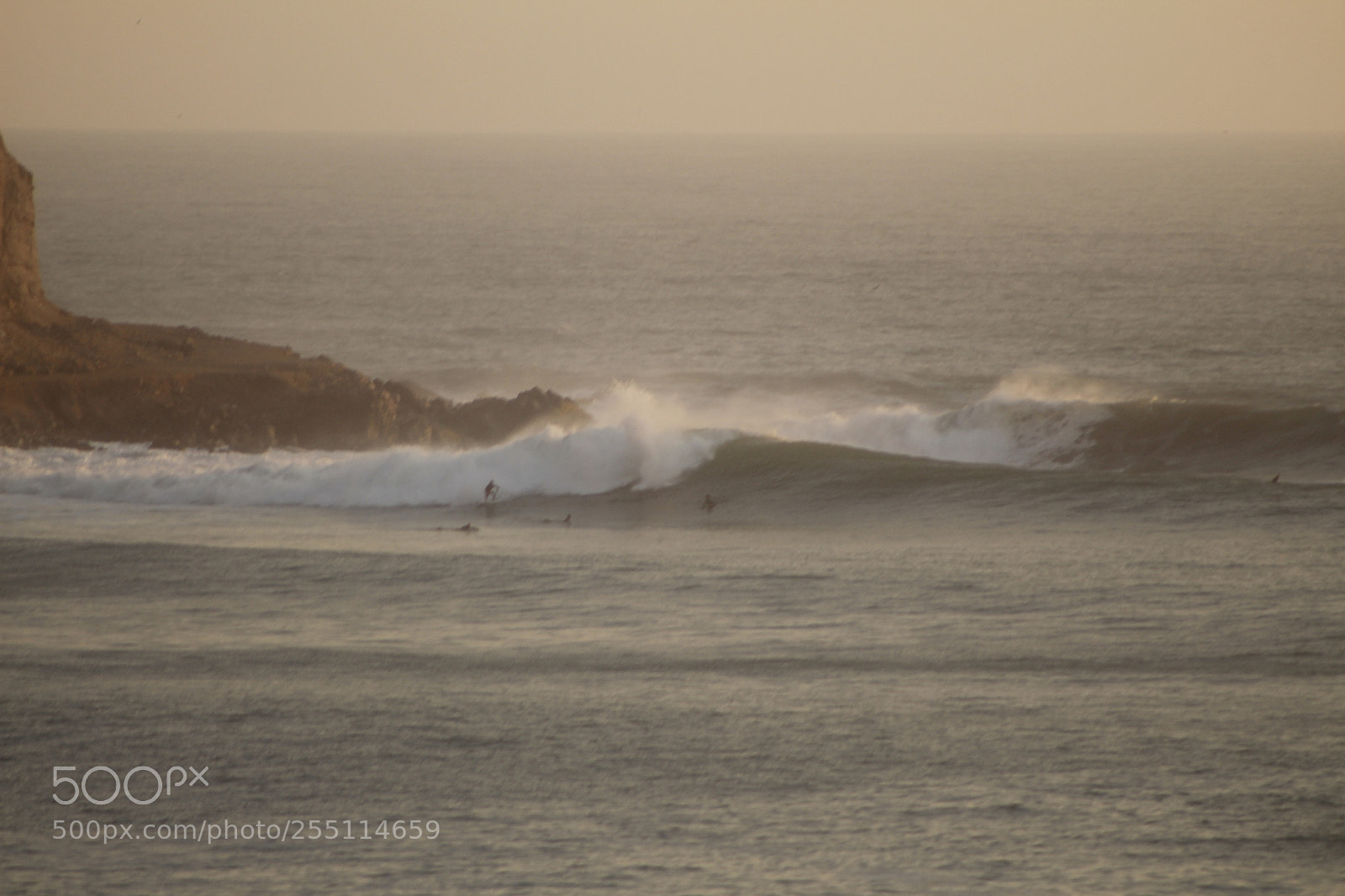 Canon EF 75-300mm f/4-5.6 sample photo. Mg photography