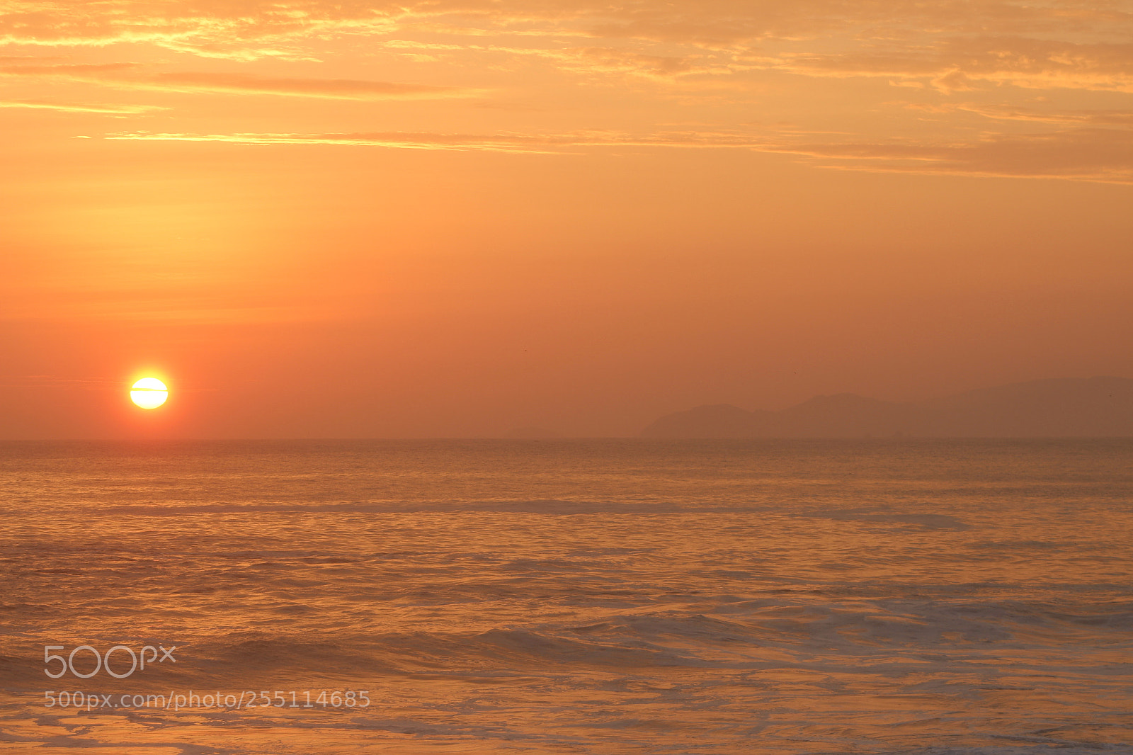 Canon EF 75-300mm f/4-5.6 sample photo. Mg photography