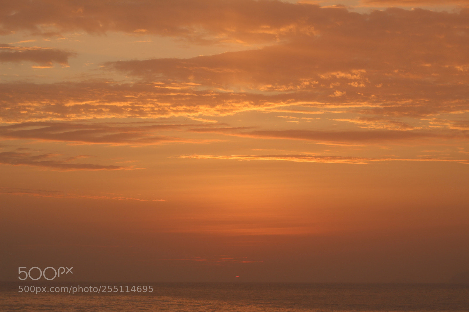 Canon EF 75-300mm f/4-5.6 sample photo. Mg photography