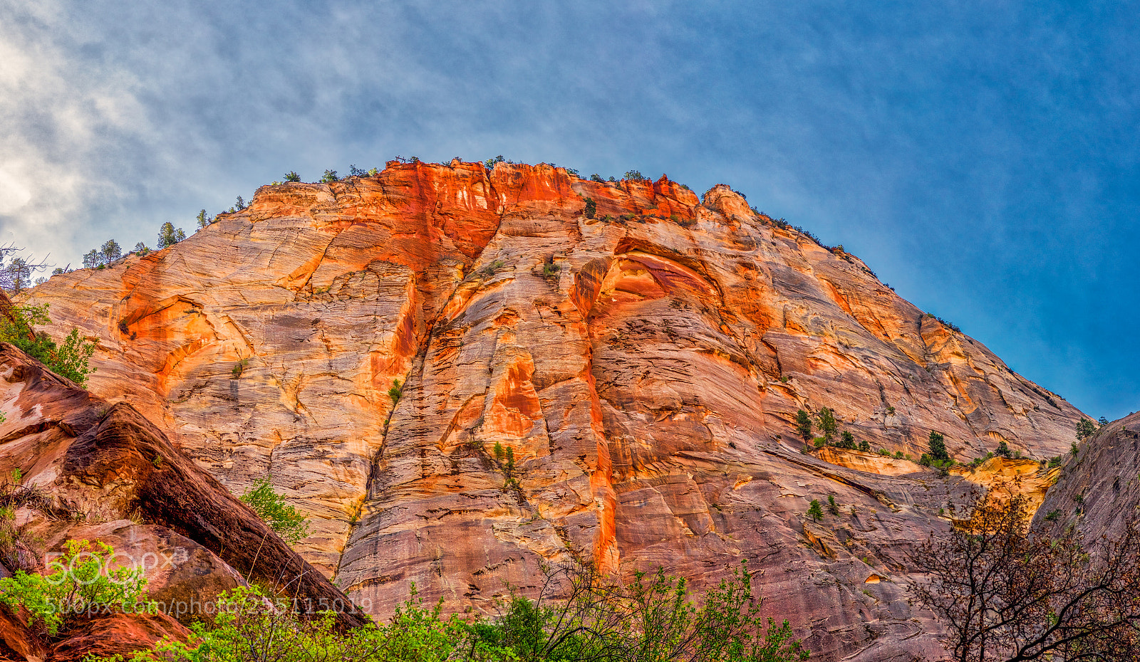Pentax K-3 II sample photo. Zion national park photography