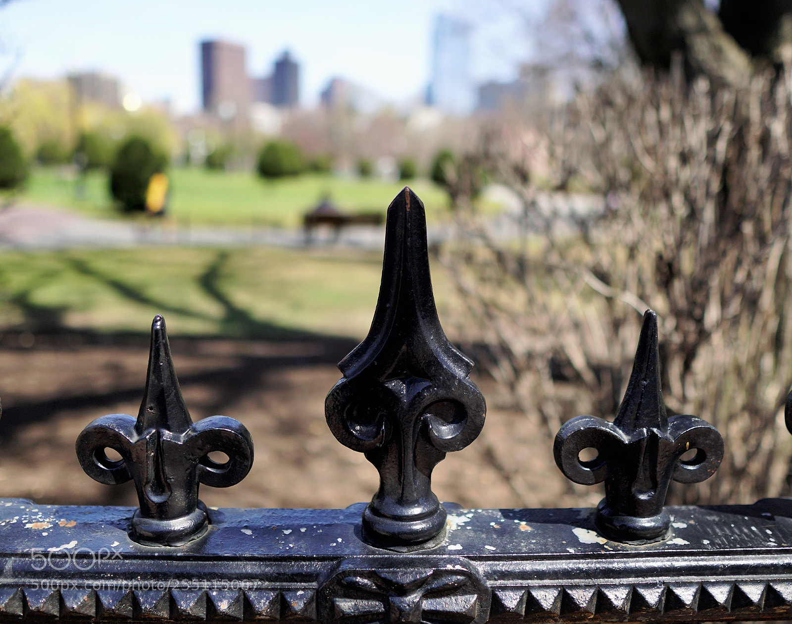 Sony a6500 sample photo. Fence at the boston photography