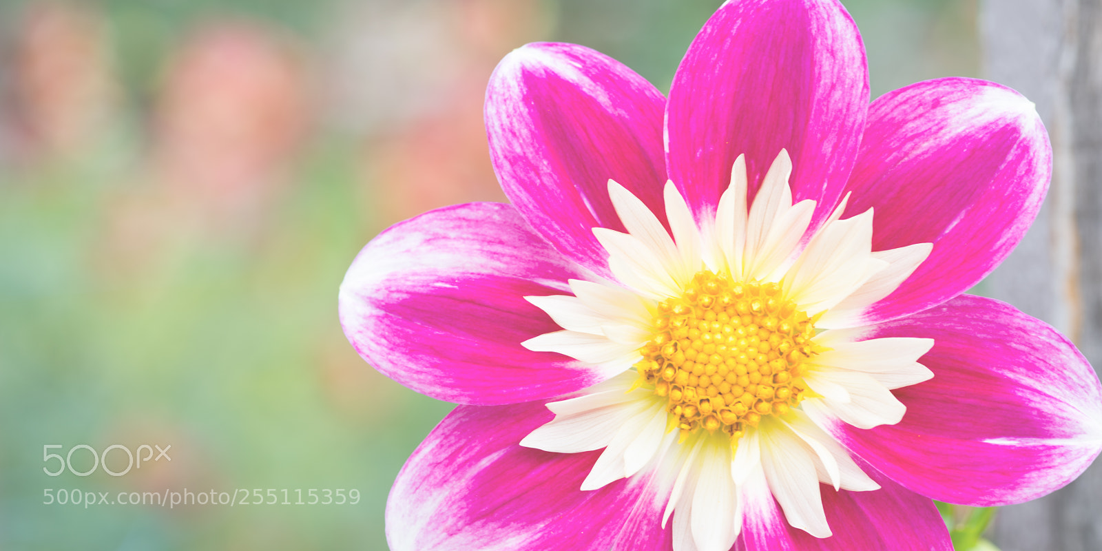 Nikon D810 sample photo. Quietude photography