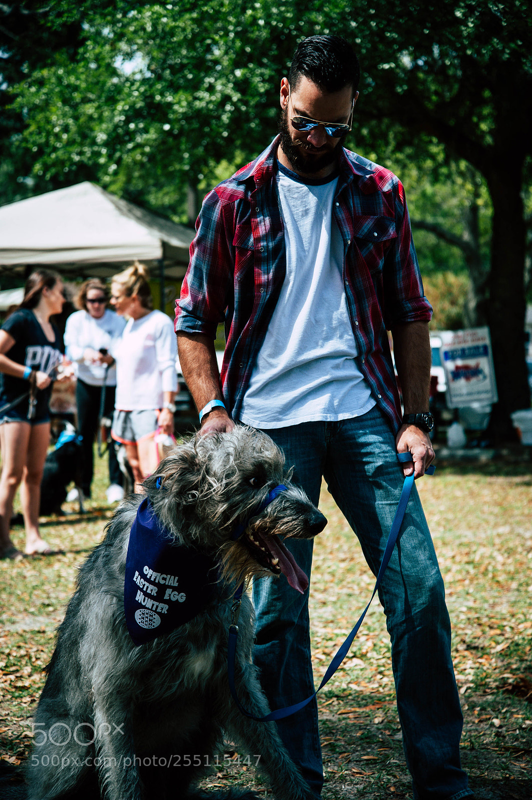 Nikon D700 sample photo. Untitled photography