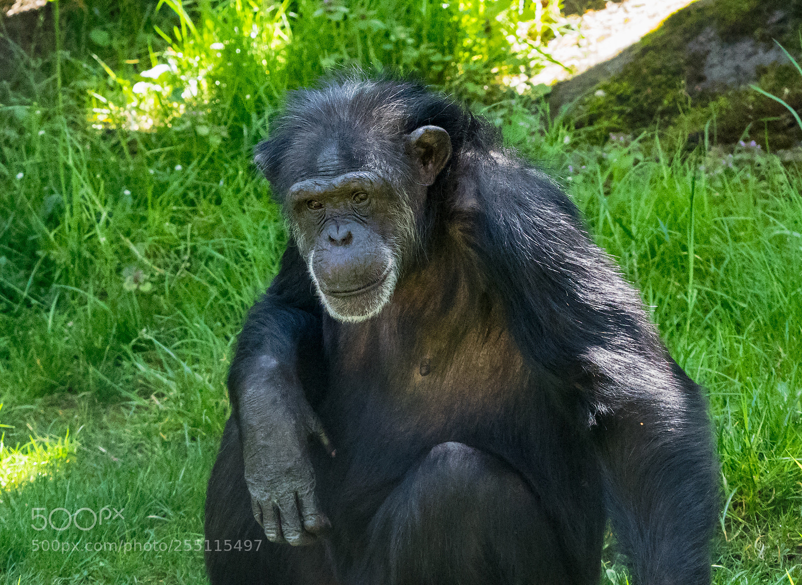 Sony a9 sample photo. Soul of the ancients photography