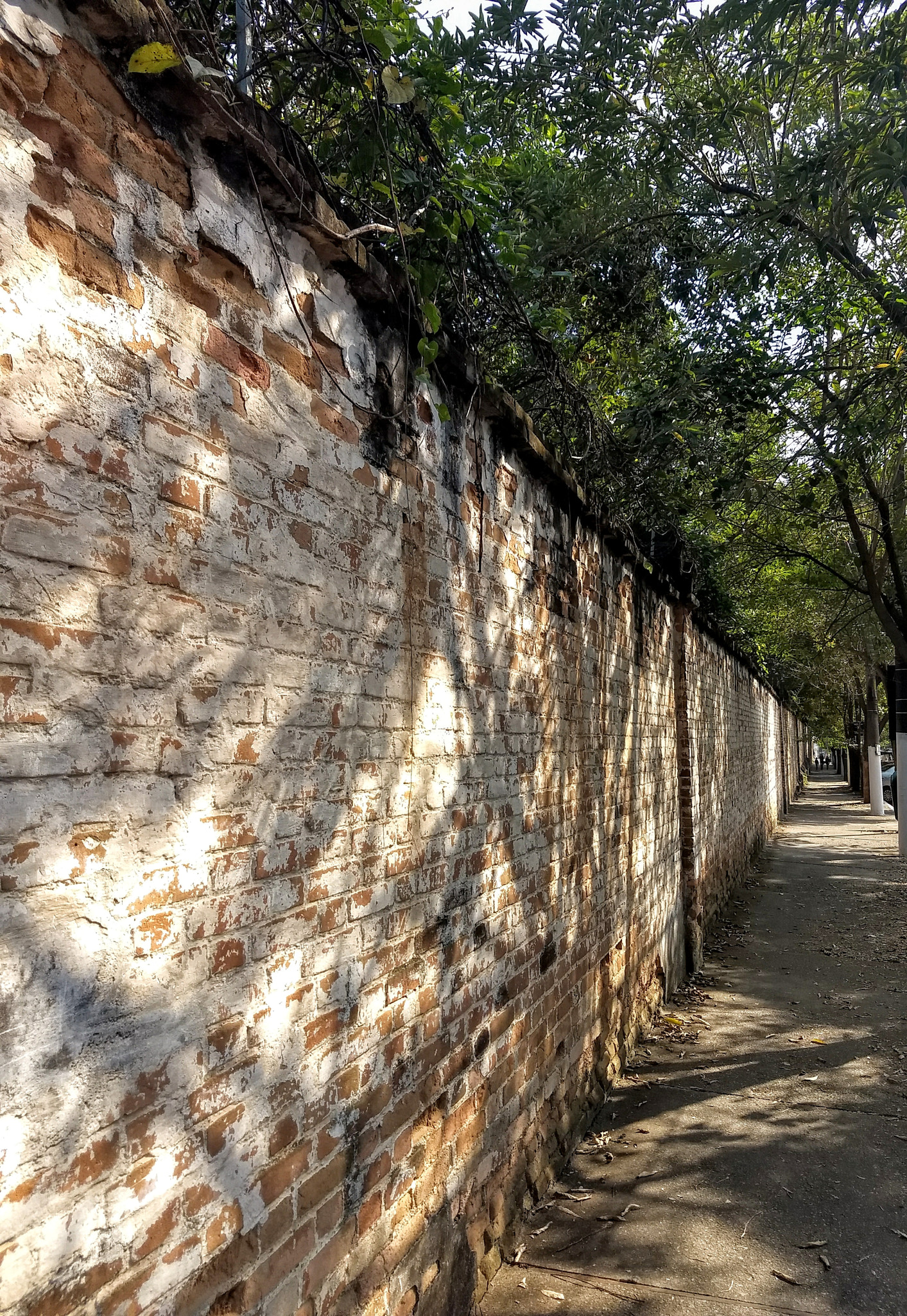 Motorola Moto Z (2) Play sample photo. Wall photography