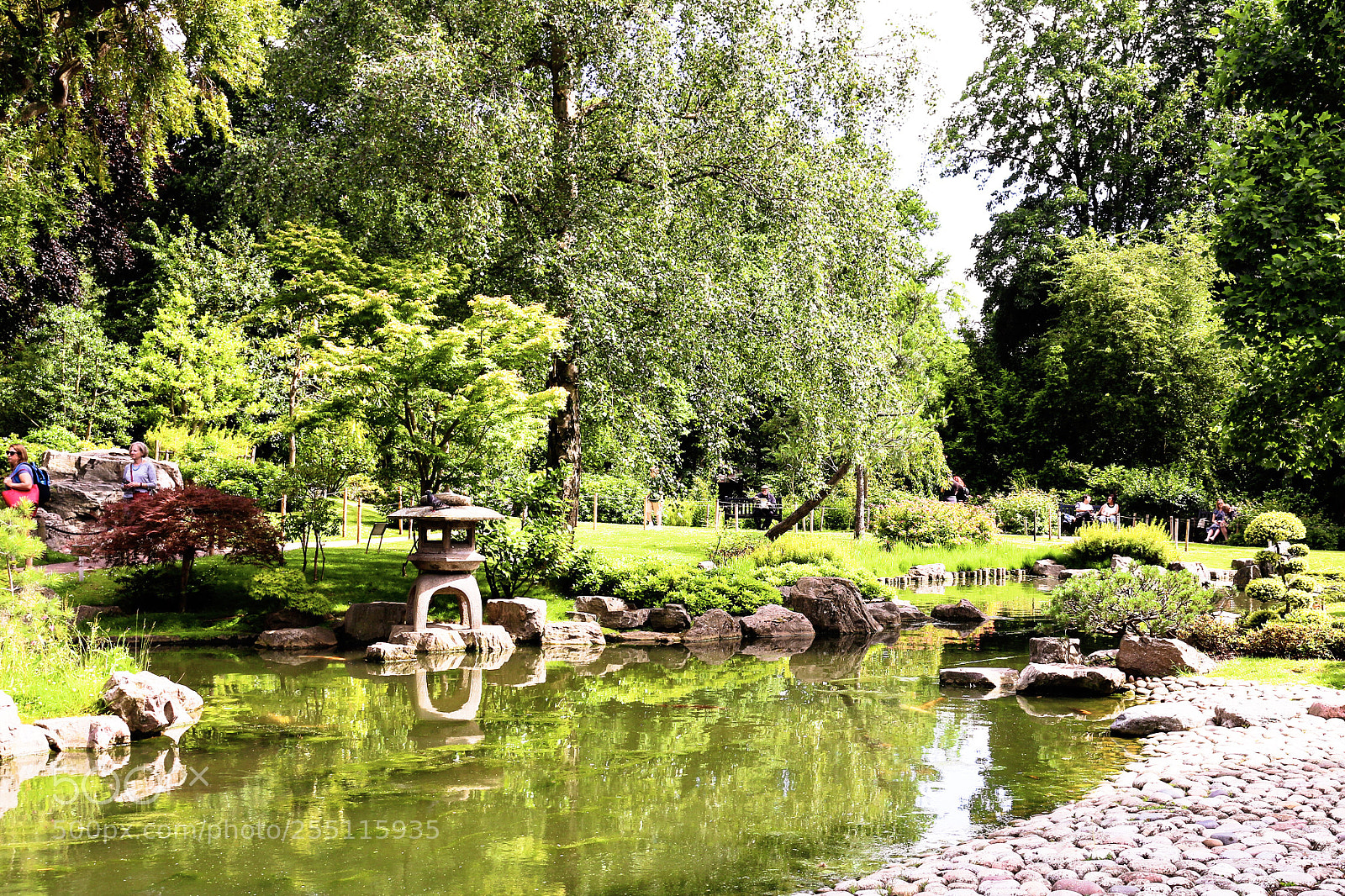 Canon EOS 700D (EOS Rebel T5i / EOS Kiss X7i) sample photo. Zen garden photography