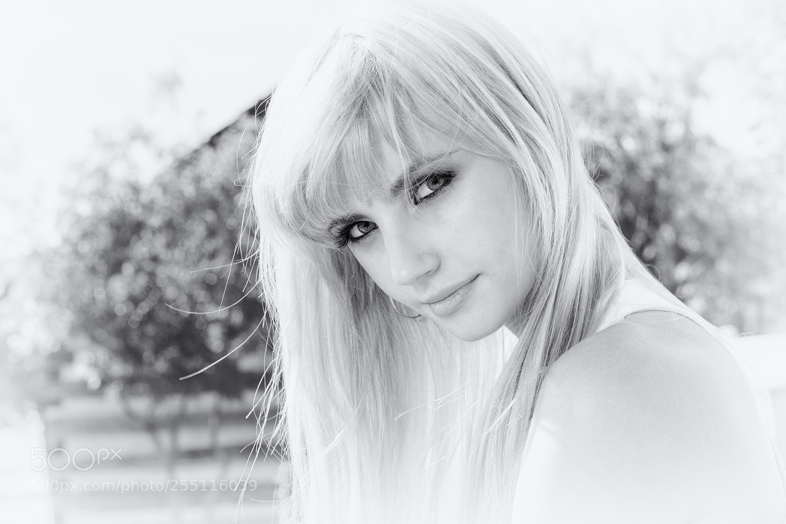 Nikon D800 sample photo. Mary in frisco black photography