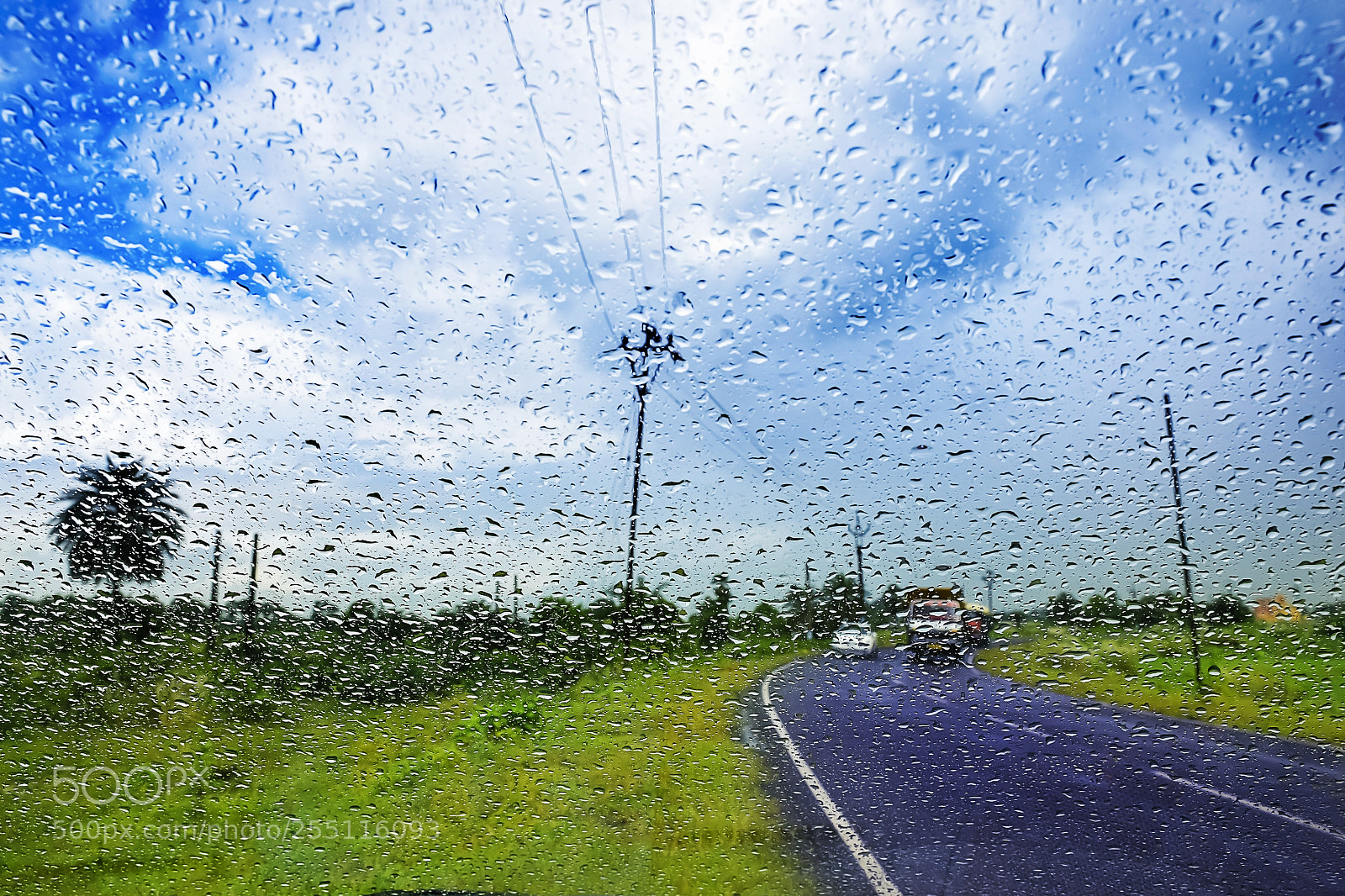 Nikon D5300 sample photo. Natural water drop background.car photography