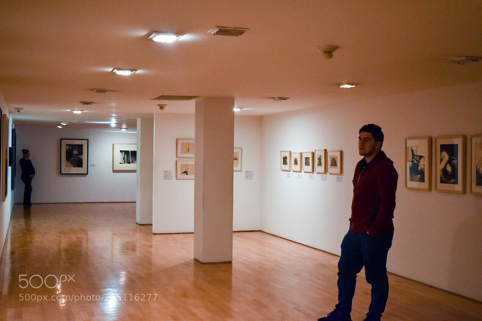 Nikon D5500 sample photo. Untitled photography