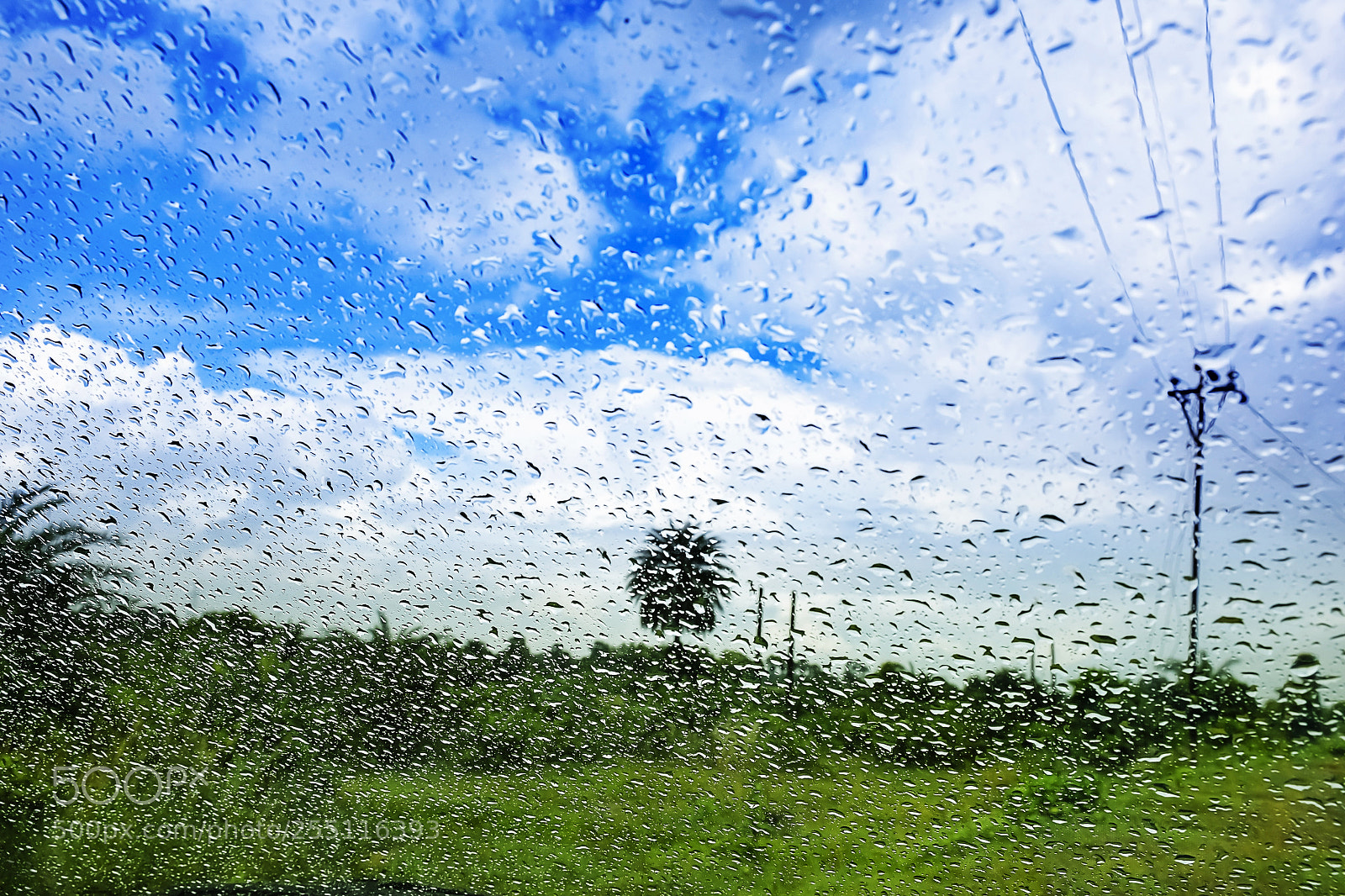 Nikon D5300 sample photo. Natural water drop background.car photography