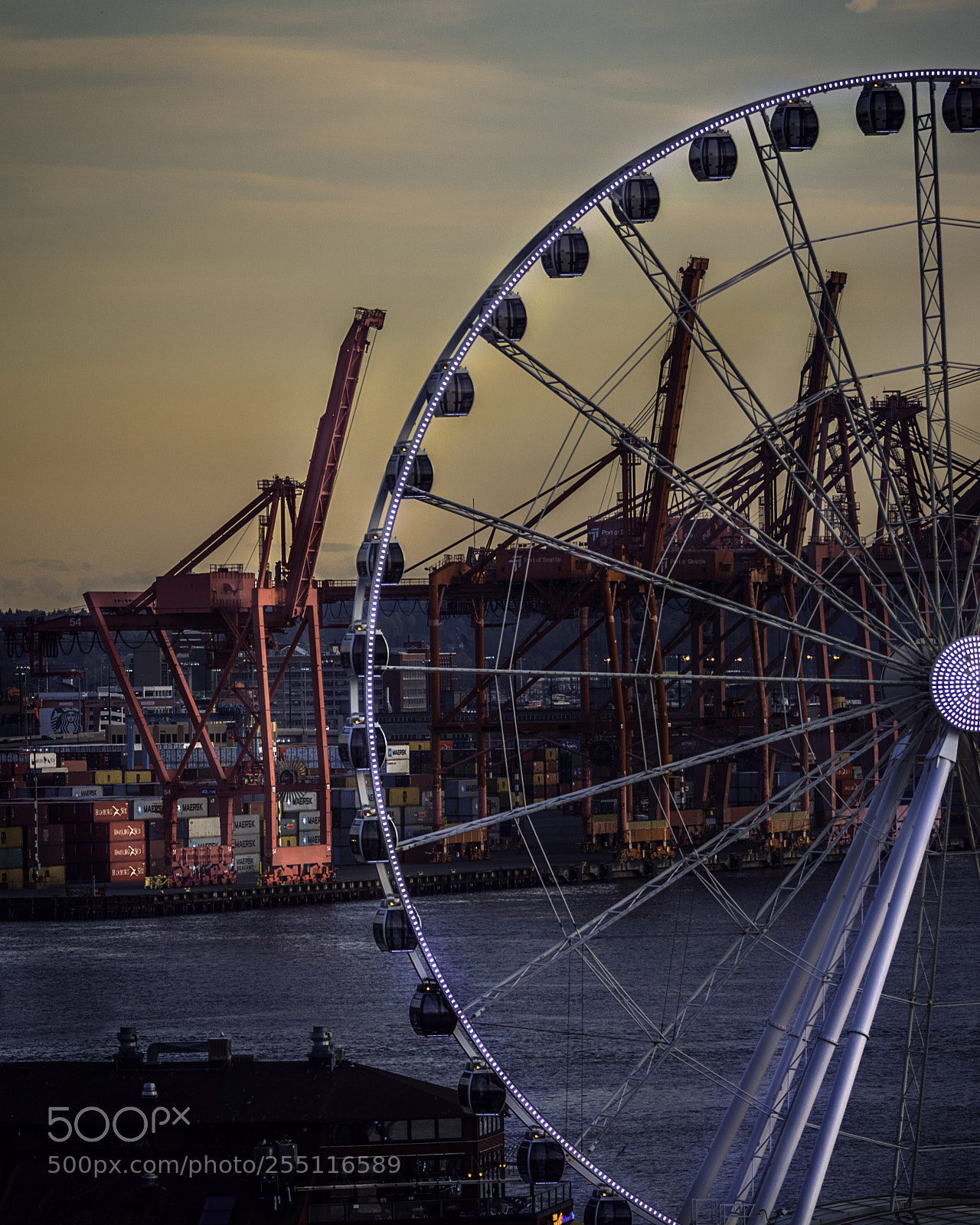 Nikon D810 sample photo. Work v play photography