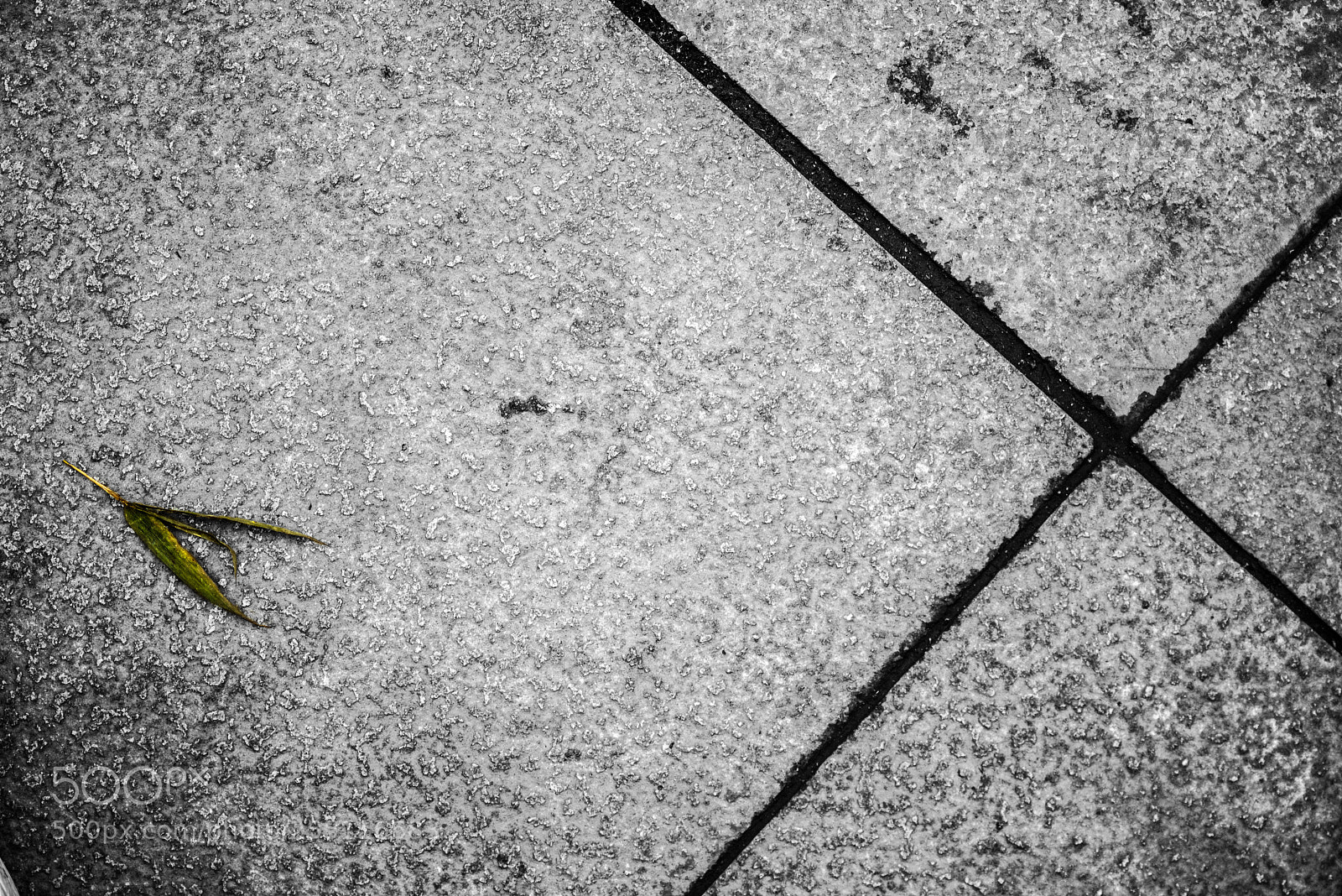 Nikon D800E sample photo. Untitled photography