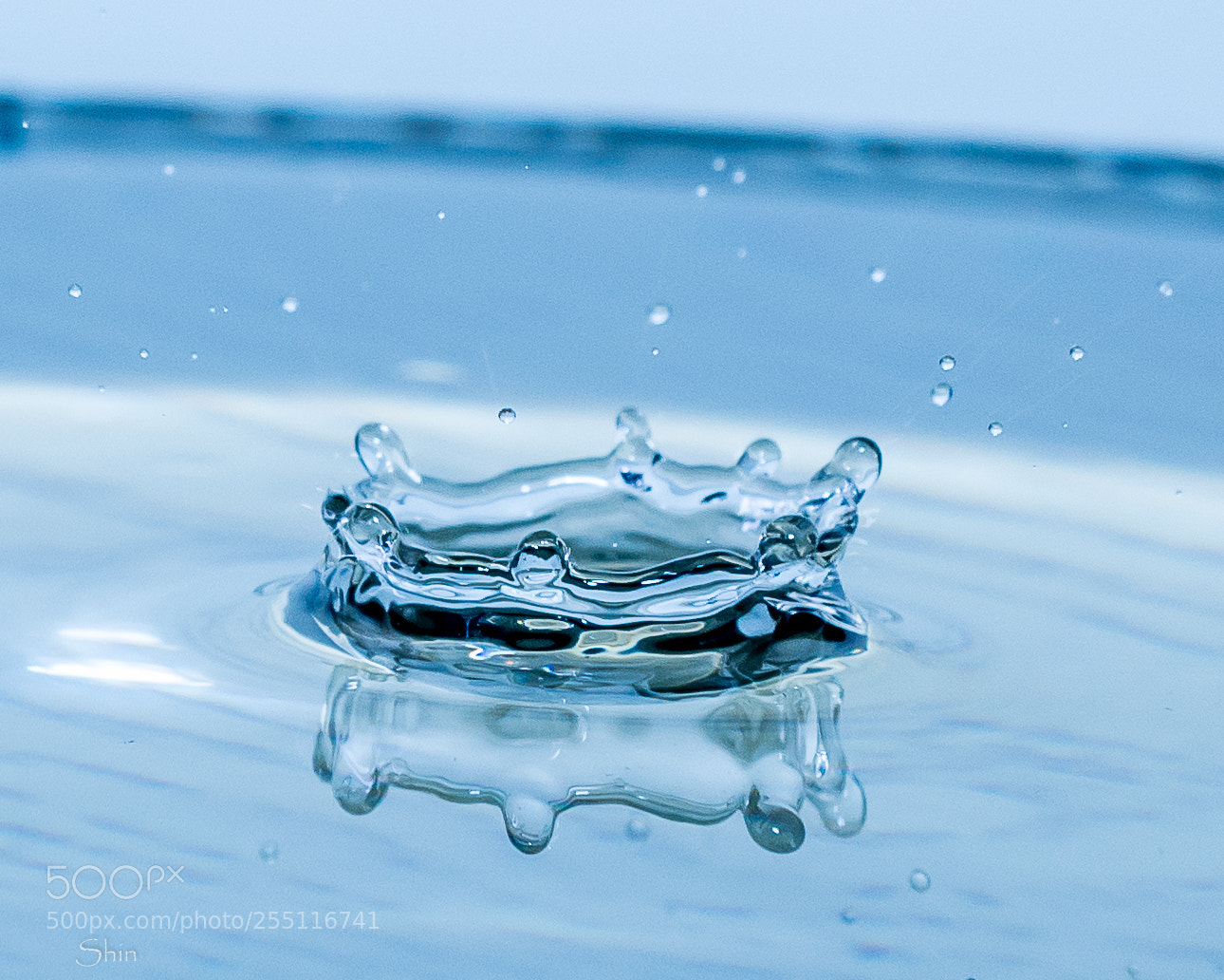 Nikon D7200 sample photo. Untitled photography