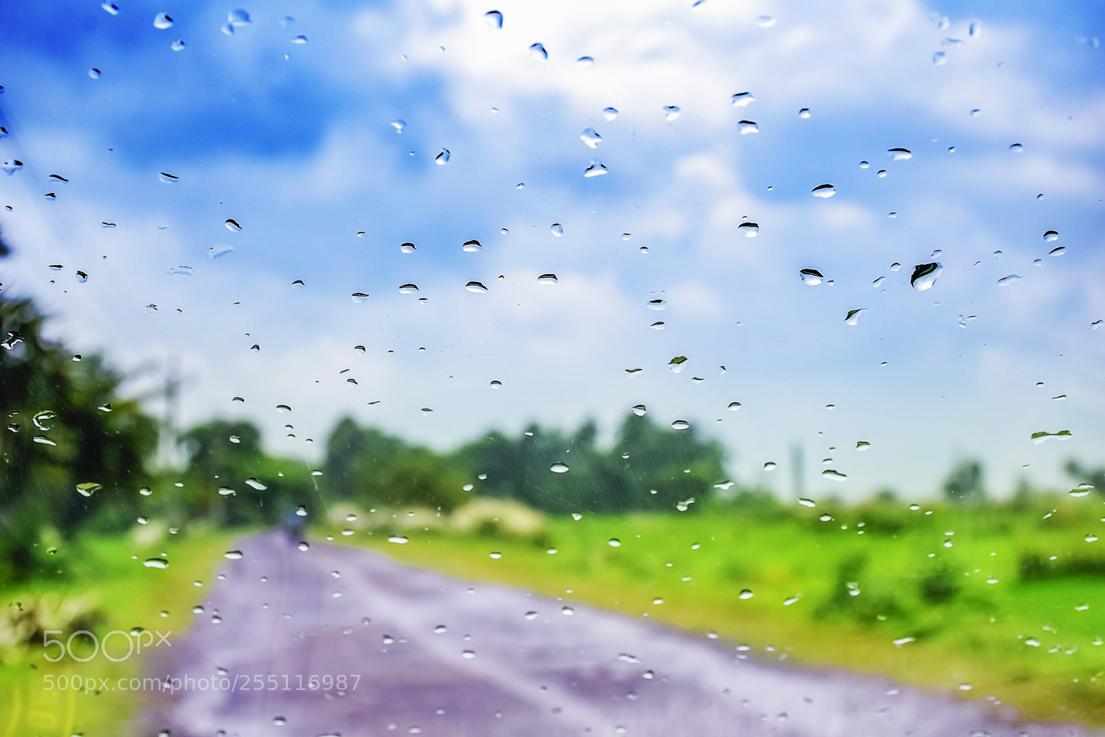 Nikon D5300 sample photo. Natural water drop background.car photography