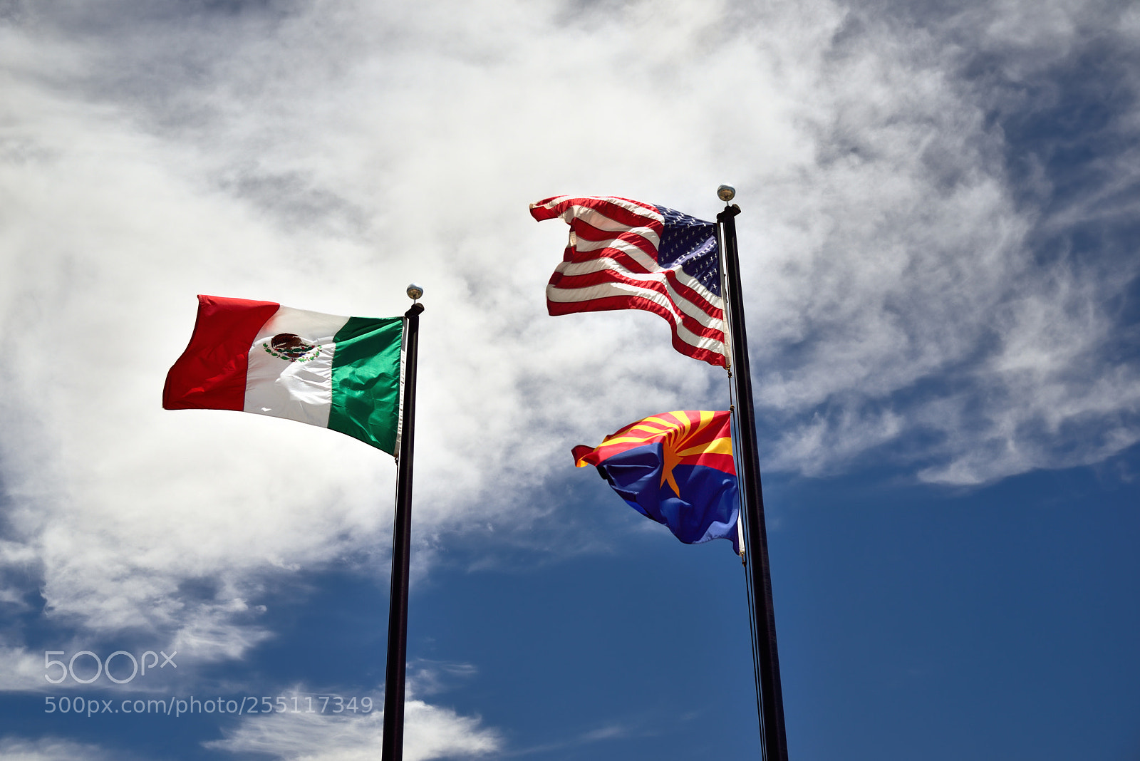 Nikon D800E sample photo. Flags flying over the photography