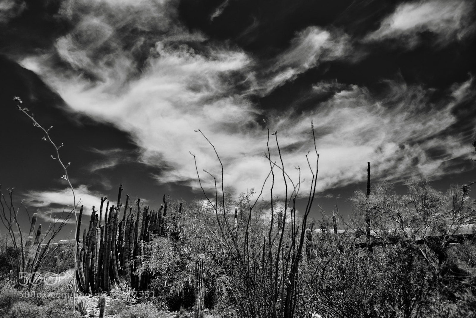 Nikon D800E sample photo. Majestic wisps of clouds photography