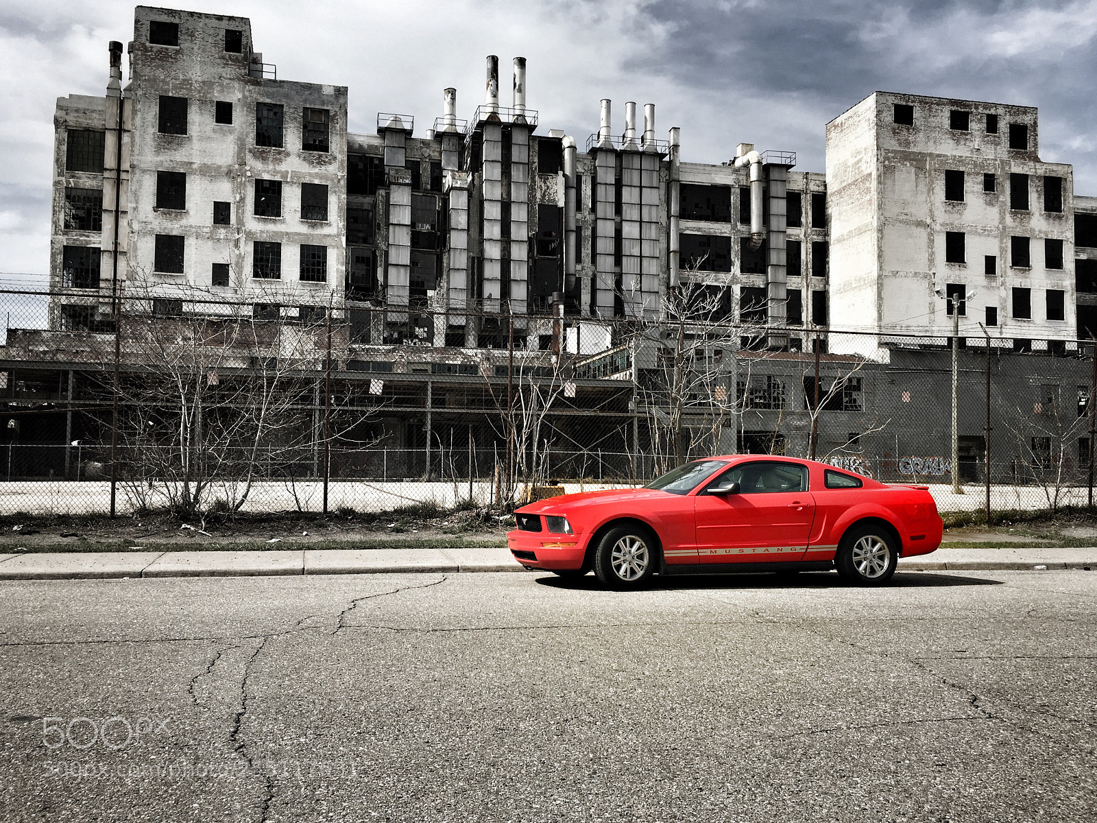 Apple iPhone 6s sample photo. Mustang photography