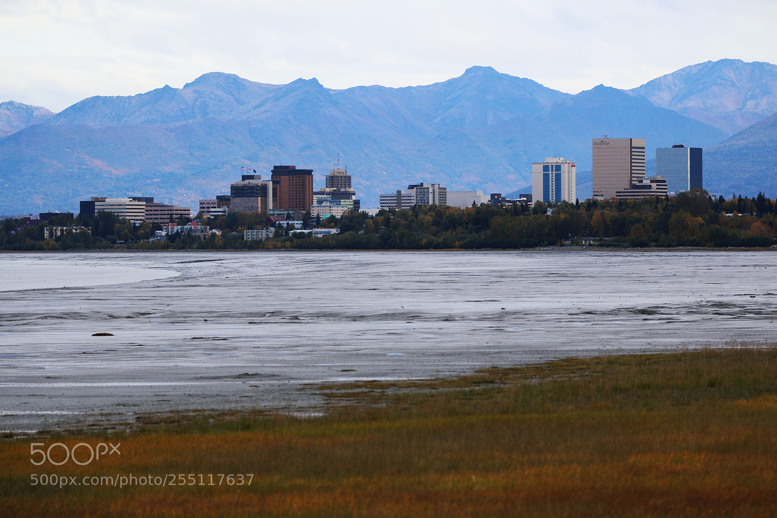 Canon EOS 70D sample photo. Img photography
