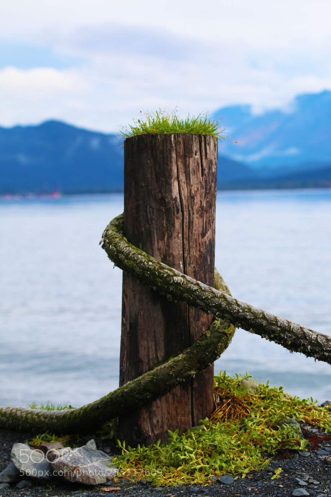 Canon EOS 70D sample photo. Img photography