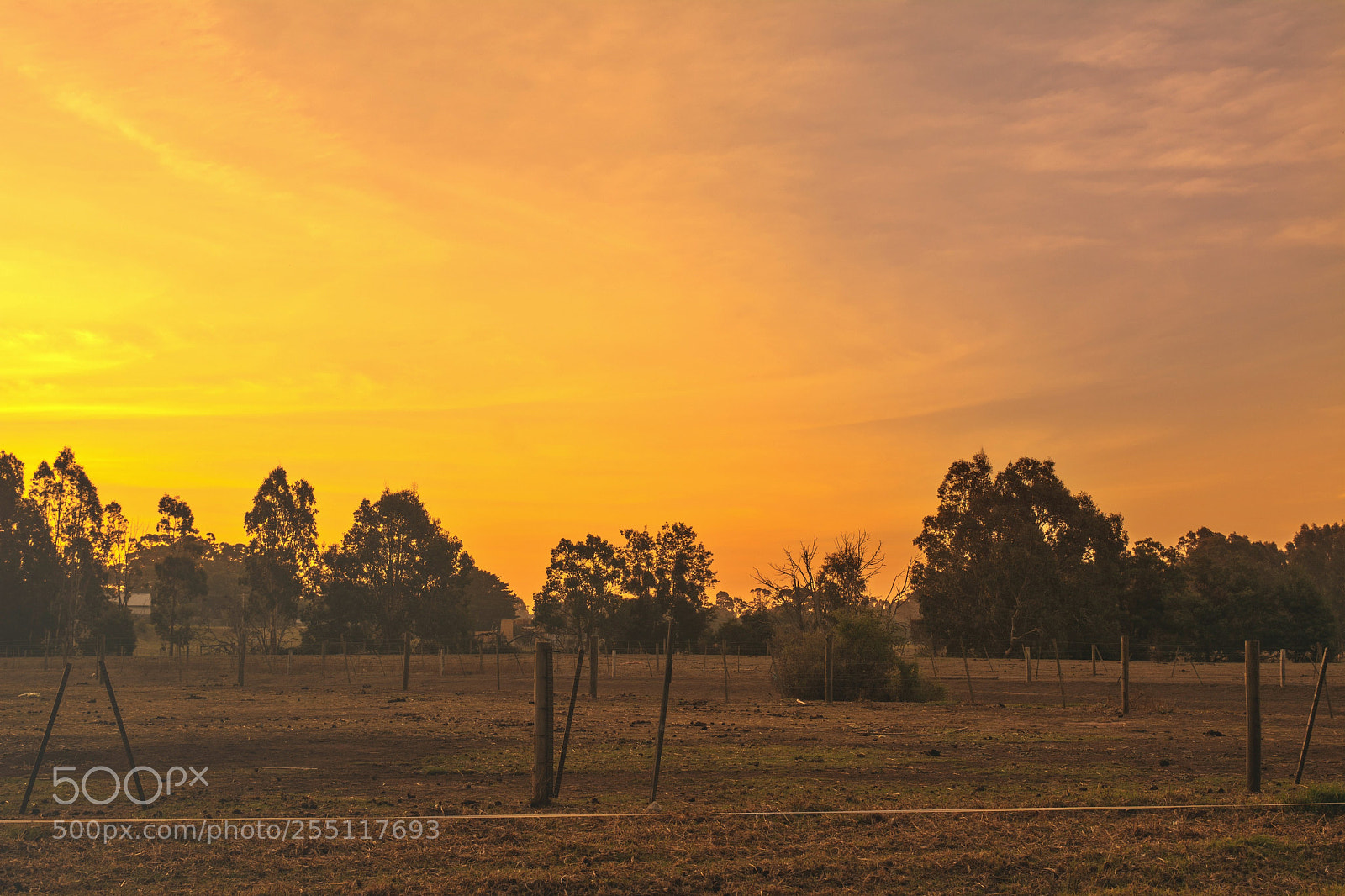Nikon D5200 sample photo. Sky photography