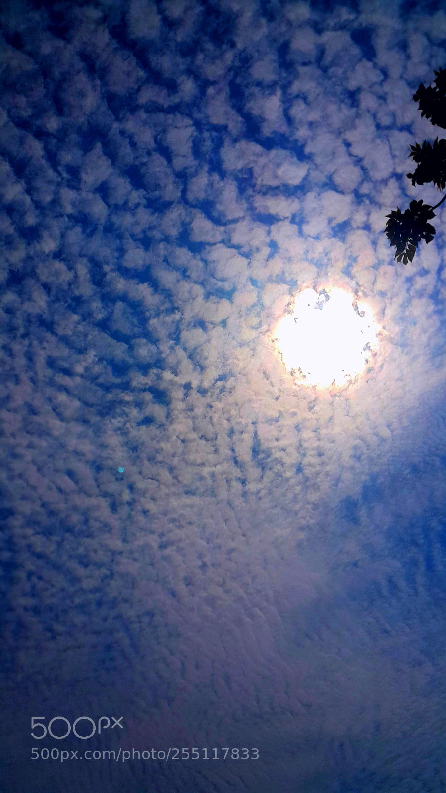 Samsung Galaxy Note4 sample photo. Sunny sky photography